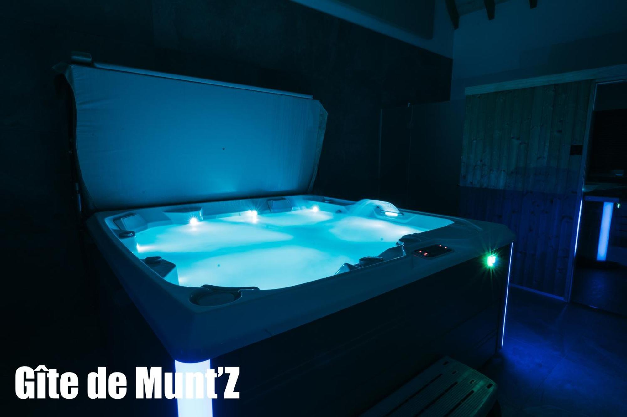 Gite De Munt'Z Spa, Sauna, Piscine, Proche De Colmar Muntzenheim المظهر الخارجي الصورة